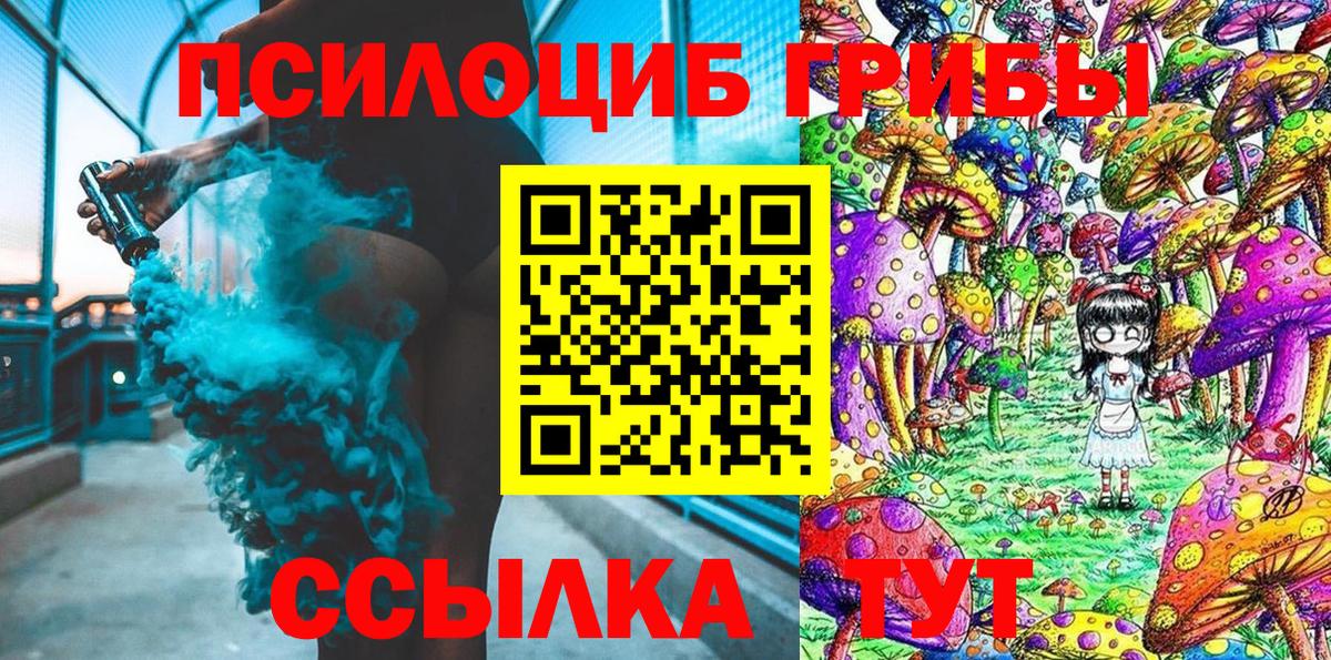 Галлюциногенные грибы Psilocybine cubensis Улан-Удэ